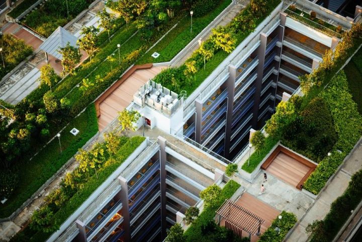 A building with a green roof