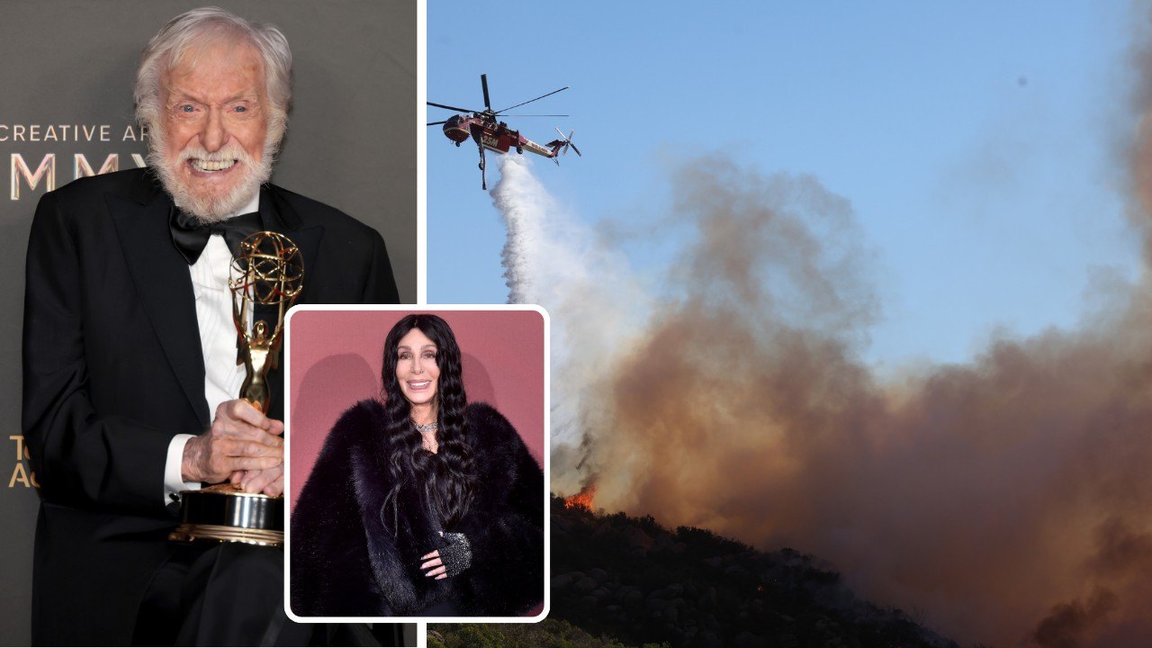 Celebrities wildfires
