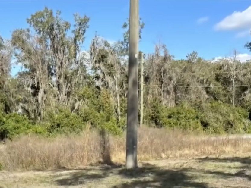 Florida couple land