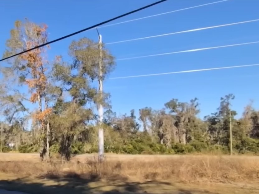 Florida couple land