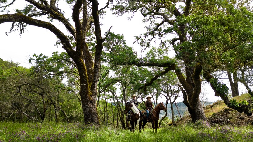 Glendale Ranch