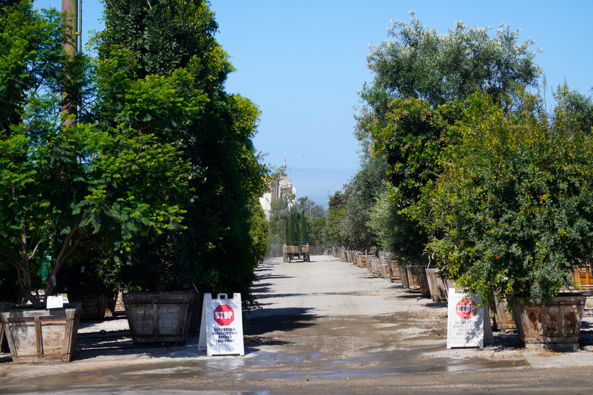 Moon Valley Nursery on Oceanside Boulevard, where a developer has a proposal to build 910 homes on the 67-acre location. (Nelvin C. Cepeda / The San Diego Union-Tribune)