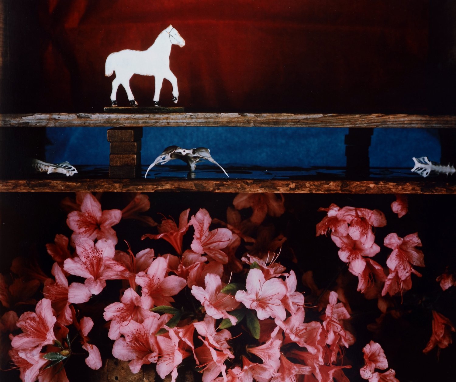 San Diego Upcoming 2025 Art Event Women in Focus exhibit at the Museum of Photographic Arts