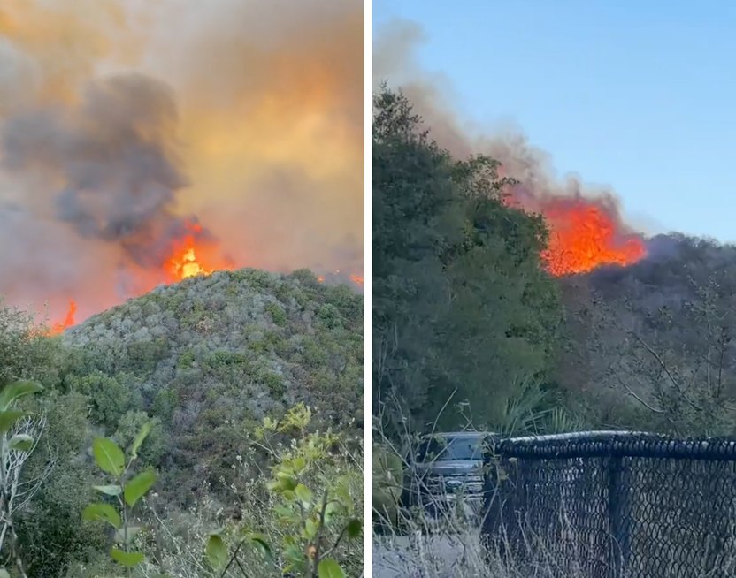 TikTok/Spencer Pratt