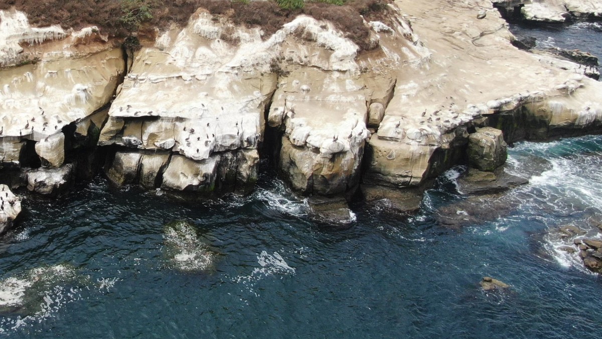 La Jolla Sea Caves