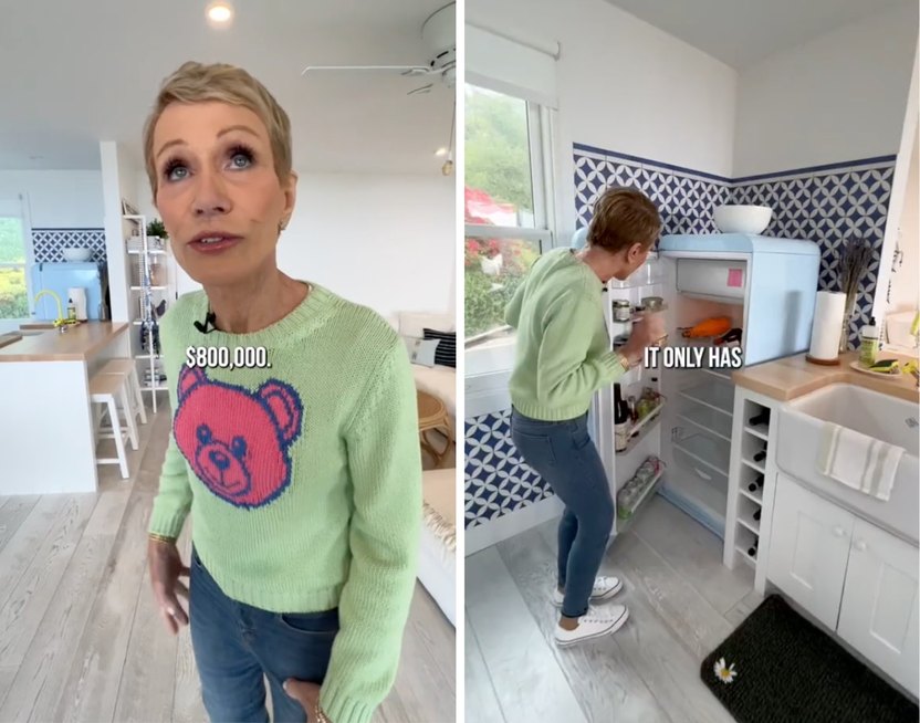 Barbara Corcoran Reveals Million-Dollar Trailer Home Has Been 'Entirely Destroyed' In California Wildfires