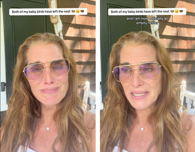 TikTok/Brooke Shields
