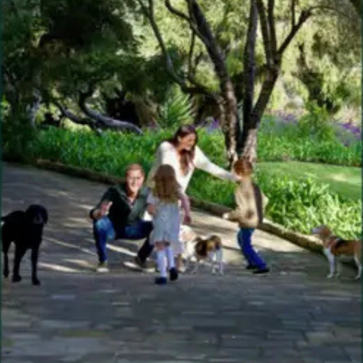 Harry and Meghan holiday card