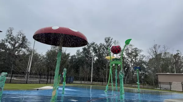 New 43-acre park opens in Hillsborough County with a dog park and pickleball courts