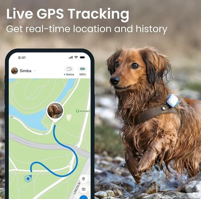 pet-GPS-tracker-1