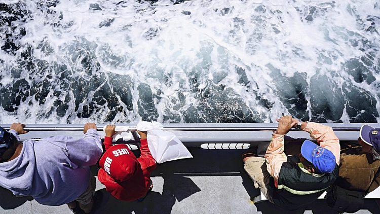 People looking over the reeling of a boat, photographed from above - Whale Watching San Diego