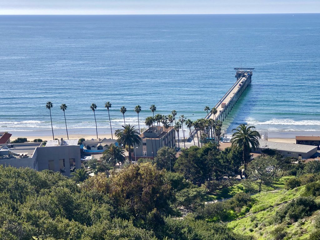 Whale Watching from Birch Sea Aquarium La Jolla