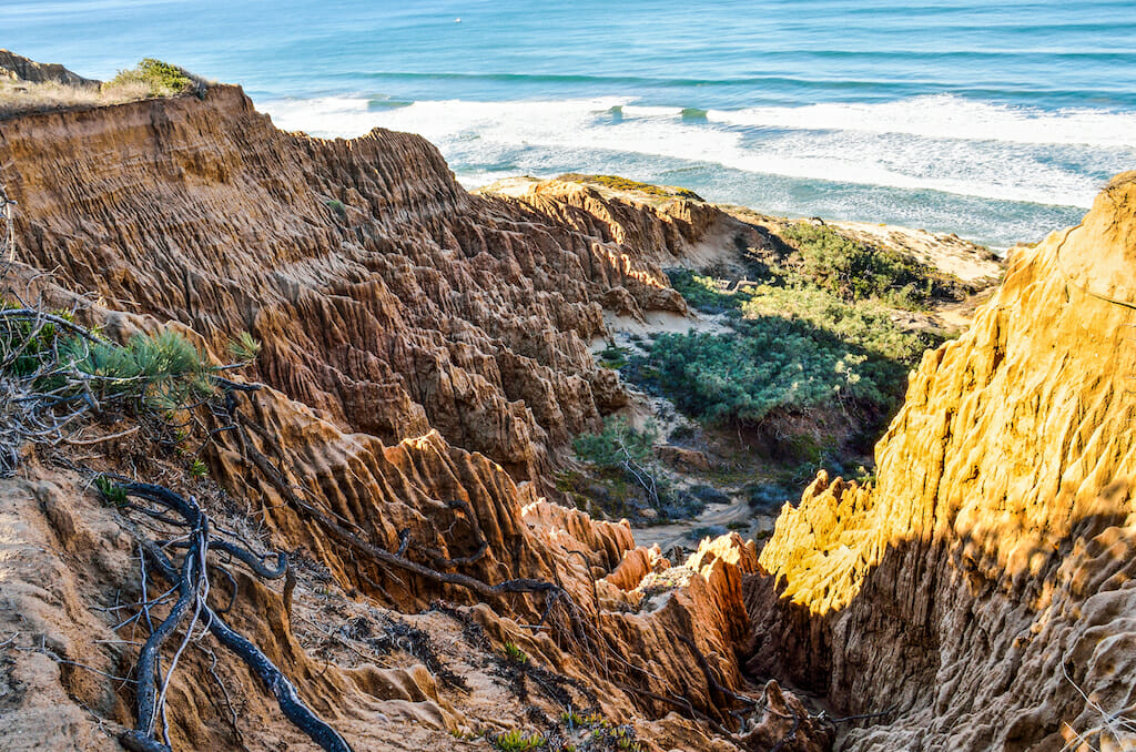 Closeup pattern of torrey pine eroded sandstone cliffs on coast in La Jolla by San Diego