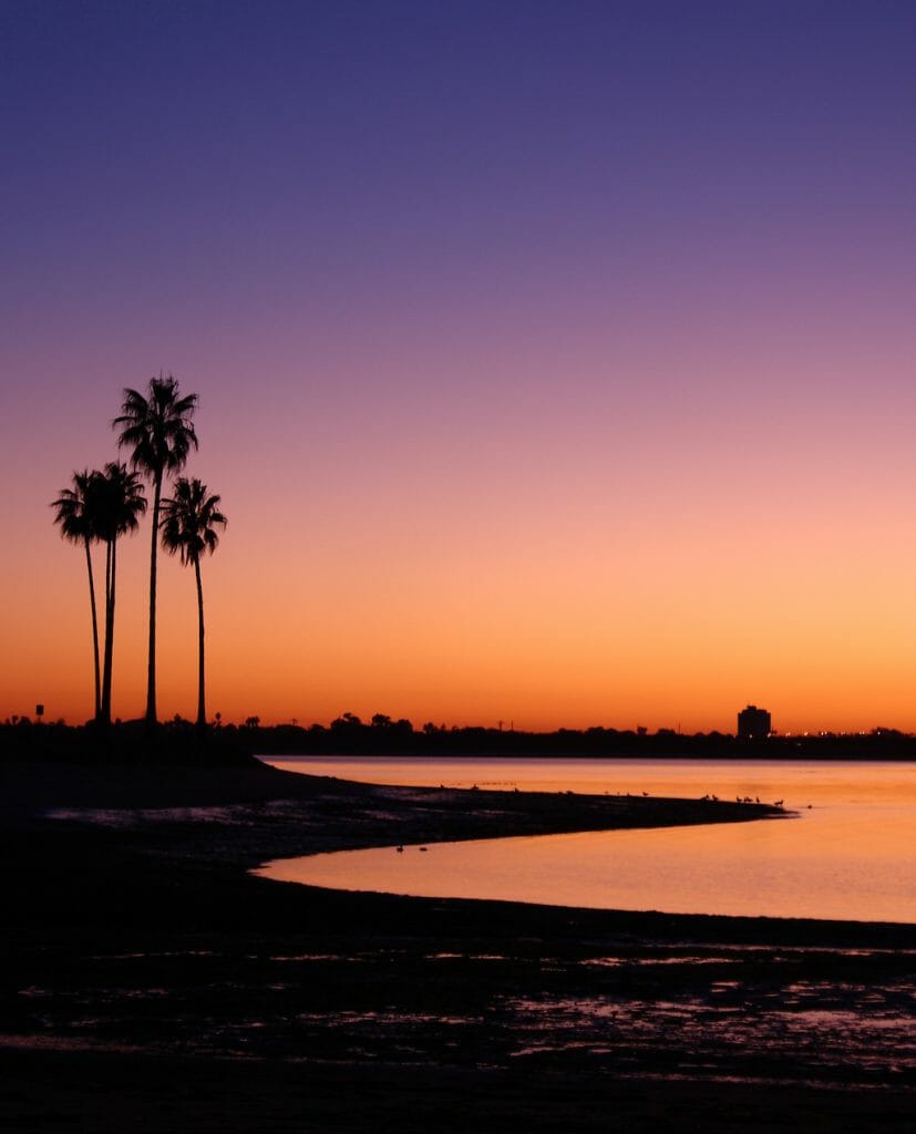 Palm Trees Mission Bay San Diego California USA, Twilight Sunset