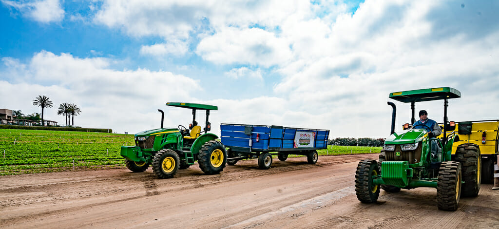 Tractor wagon ride at the Carlsbad Flower Fields