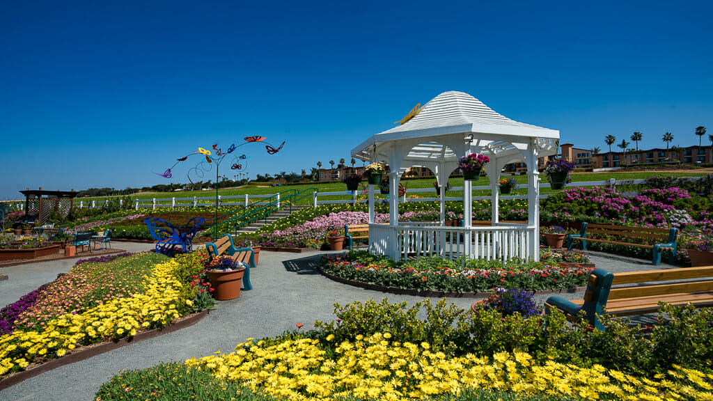 Butterfly garden at the Carlsbad flower fields