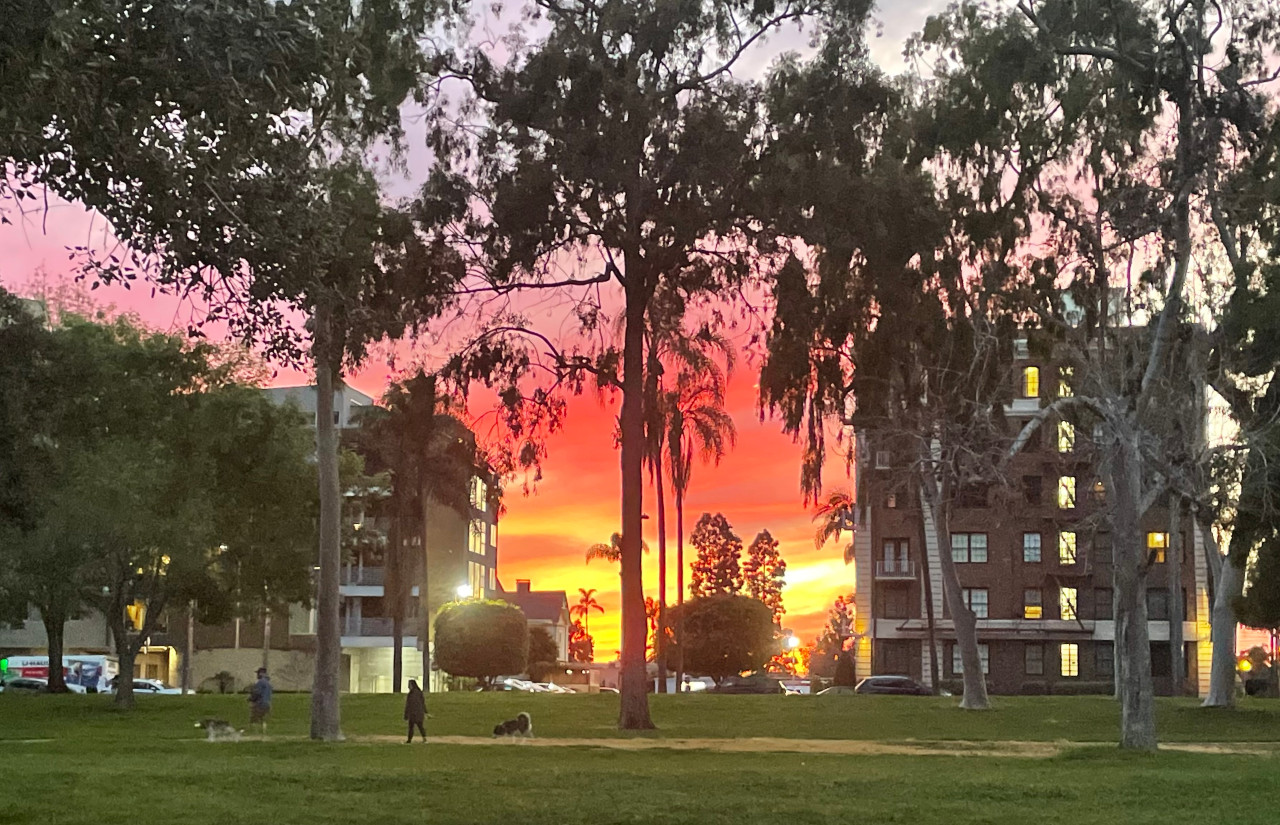 Sunset park