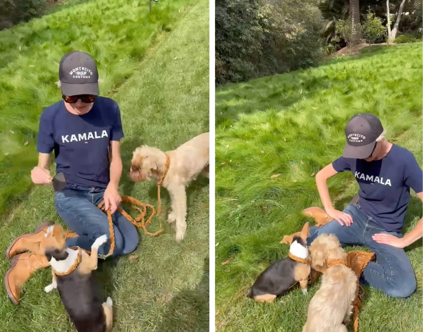 Ellen DeGeneres Porta de Rossi