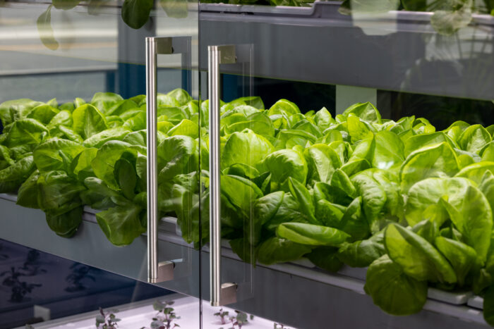 Babylon Micro-Farms grows inventory with new, lower-cost indoor farming product 6 babylon micro farms plants