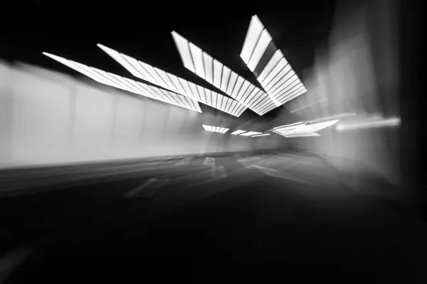 We Love L.A.,Abigail Stone