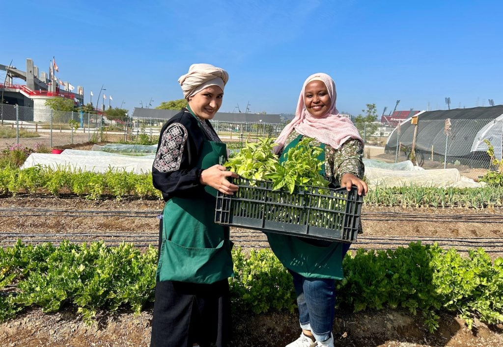 San Diego MAKE Projects' Mission Valley Farm where immigrants and refugees gain experience in the food industry