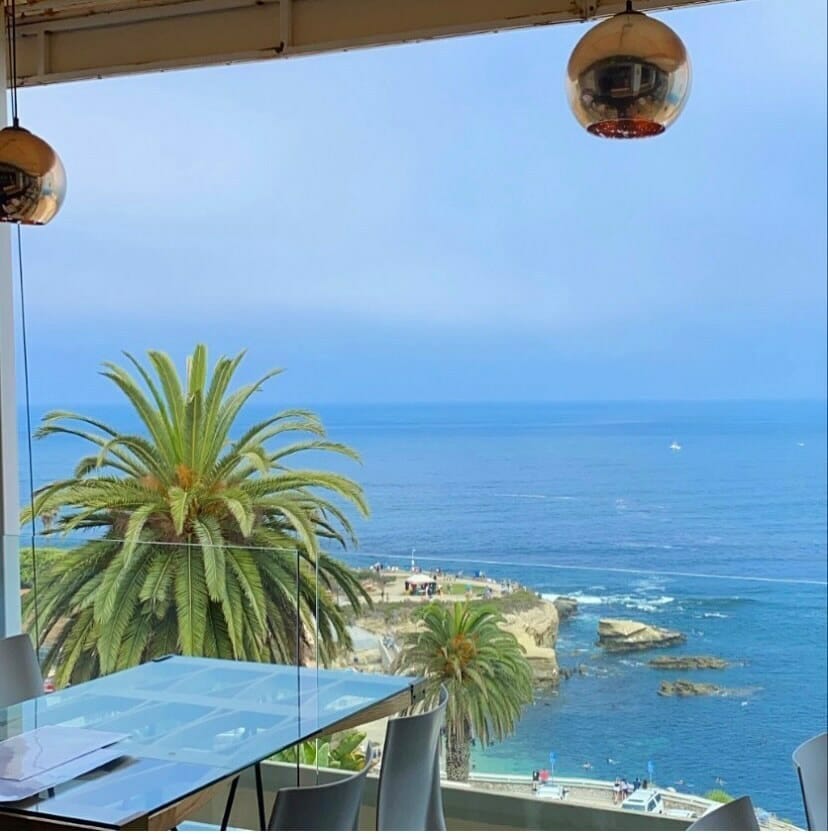 ocean view with coastline and palm trees from rooftop bar at Georges at the Cove La Jolla