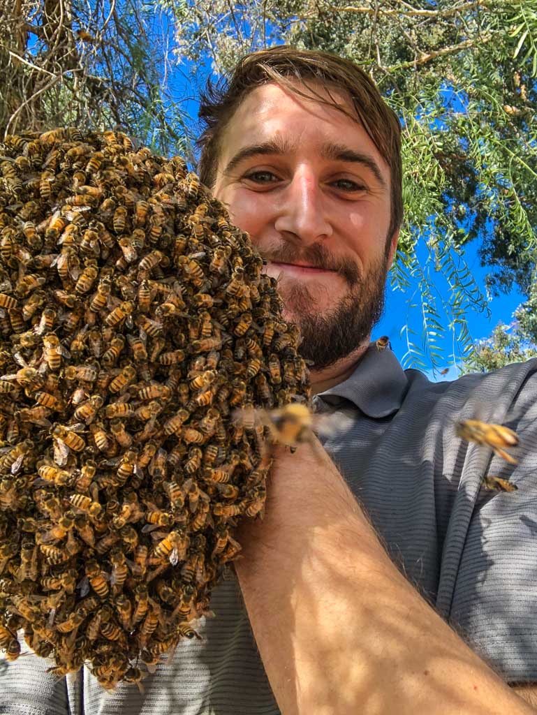 Beekeeper holding bee hive at Mariott Marquis Marina