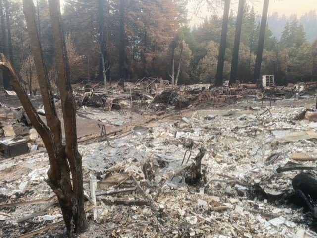 The CZU fire that ignited in August 2020 destroyed some 700 homes in the Santa Cruz area, including Wold's.