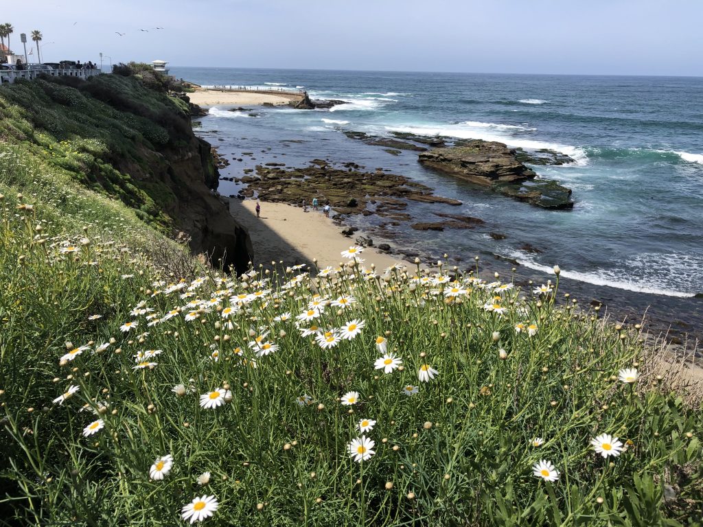 Coastal view of La Jolla Cove
