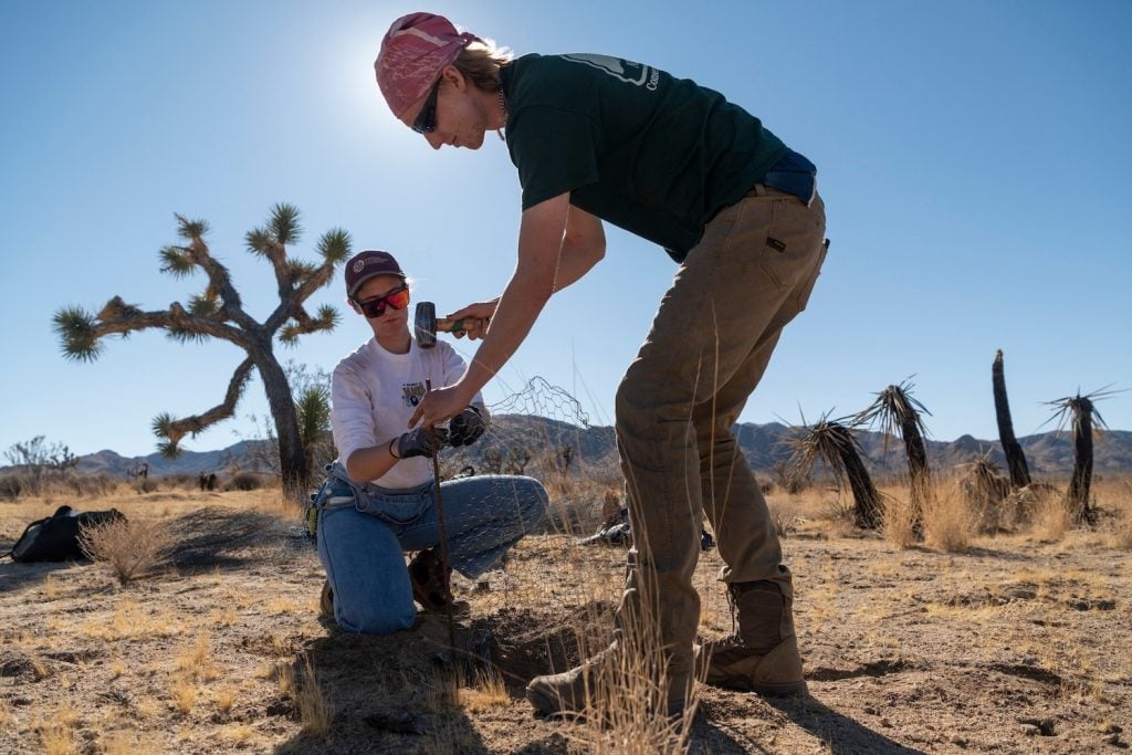 National Park Service federal workers who had their jobs cut during the Trump administration