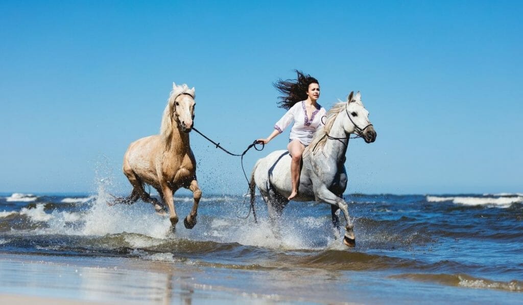 woman riding a white horse on the beach, while leading a tan horse behind her on a sunny day