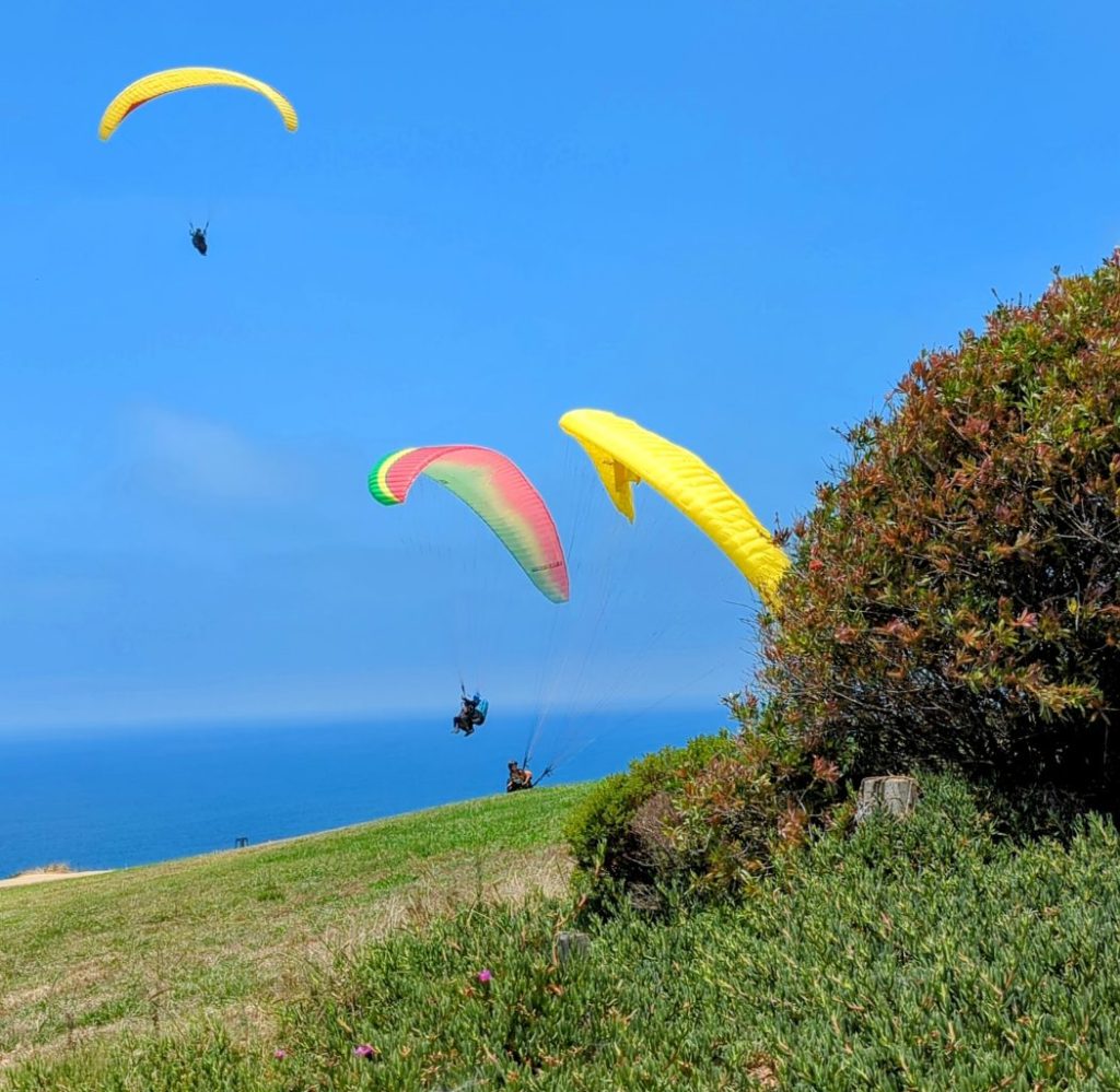 gliders at the La Jolla Glider Port