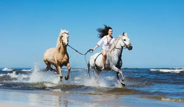 Horseback Riding San Diego: Affordable Lessons, Camps, Trail &#038; Beach Rides