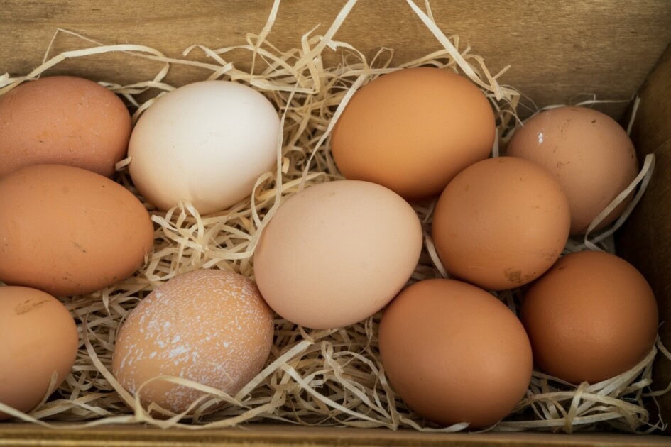 Fresh eggs