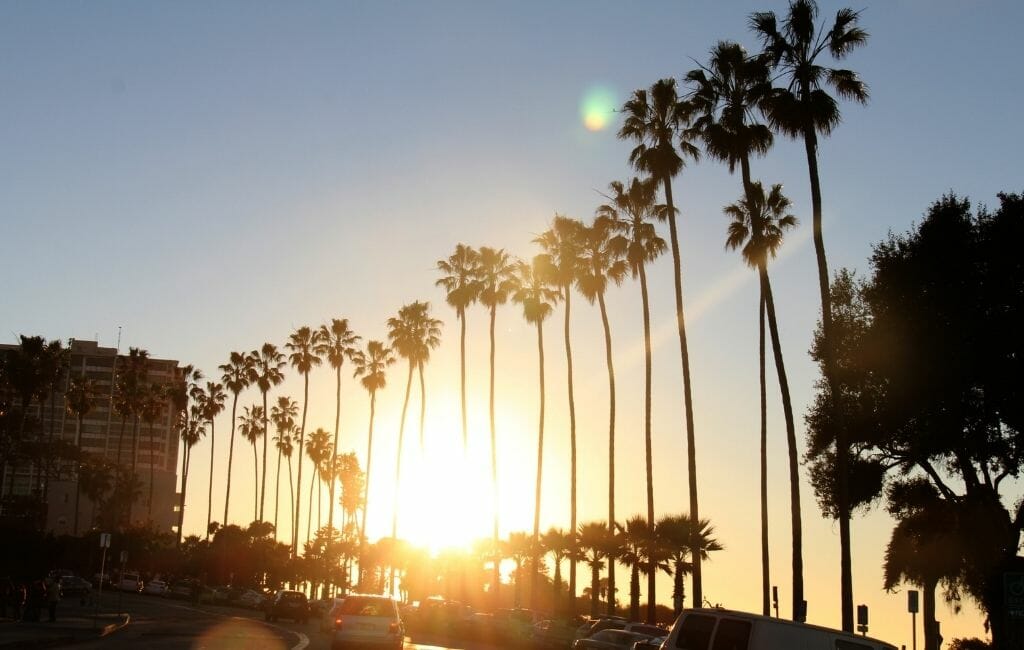 sunset wtih row of palm trees in La Jolla Village
