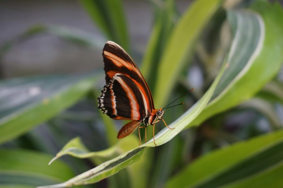 Sustainable practices for a low-maintenance, eco-friendly yard