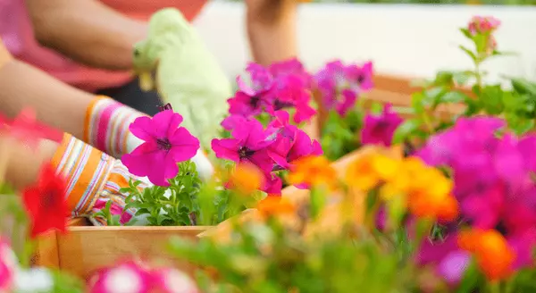 4 Things To Expect from the Spring Housing Market,KCM Crew