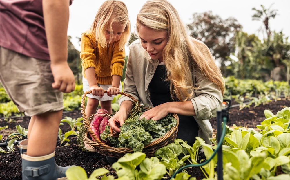 family working on home garden