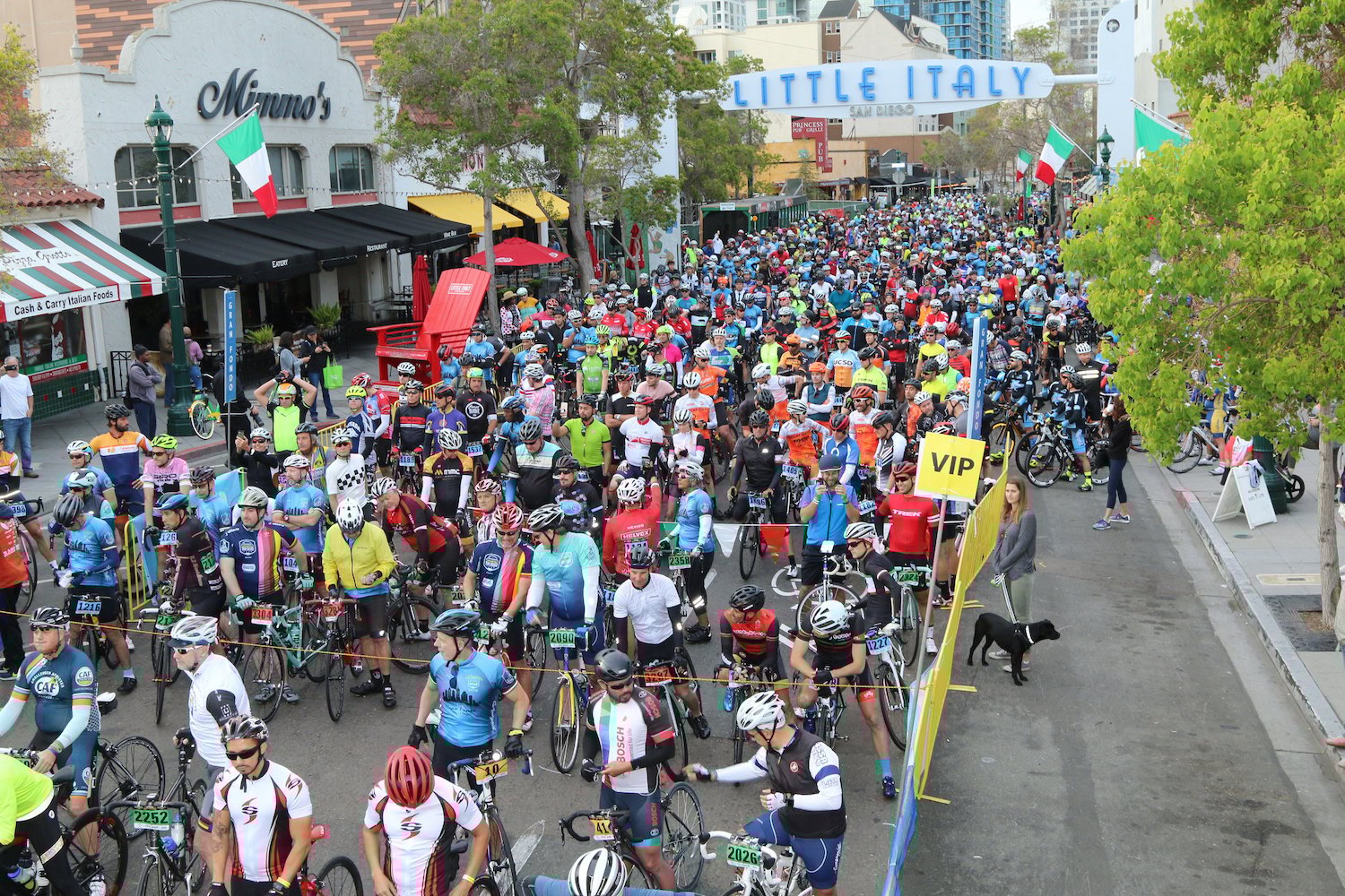 Things to do in San Diego this weekend April 2-6, 2025 featuring the GranFondo San Diego bike race starting in Little Italy