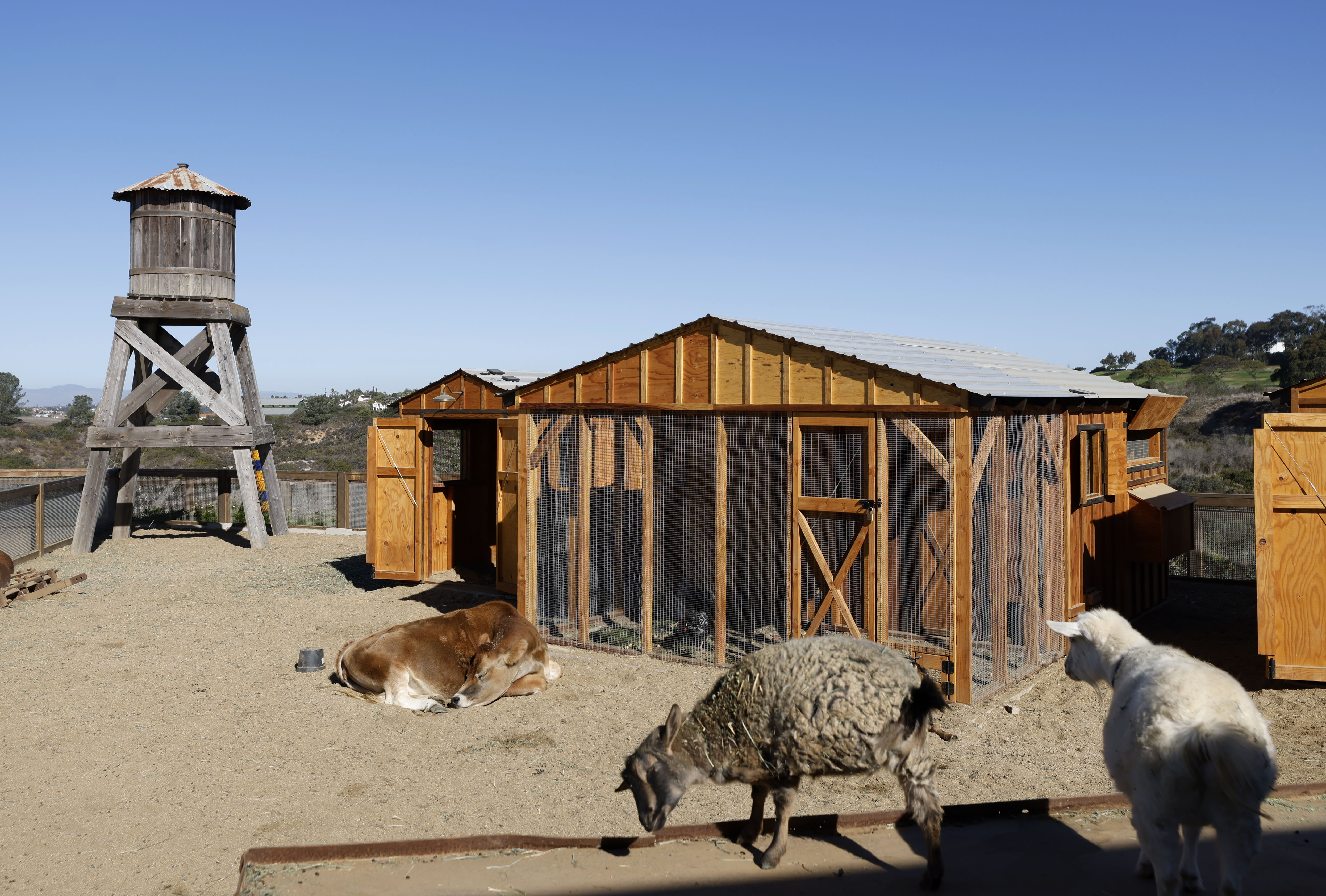 A variety of animals live at The Farm in Fox...
