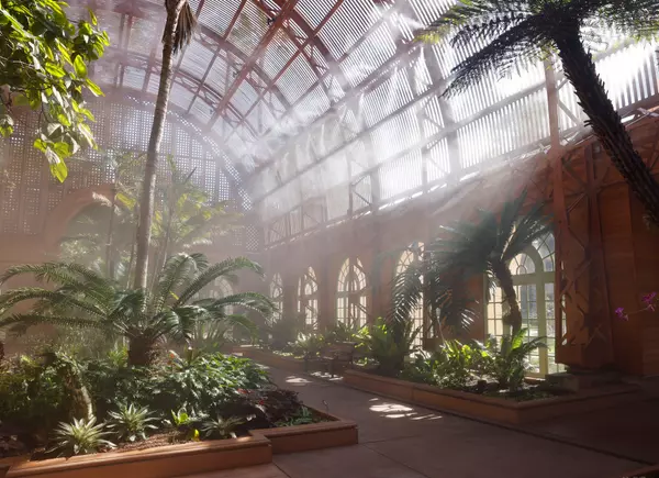 Balboa Park’s Botanical Building reopens after $26.5M restoration,Jennifer Van Grove