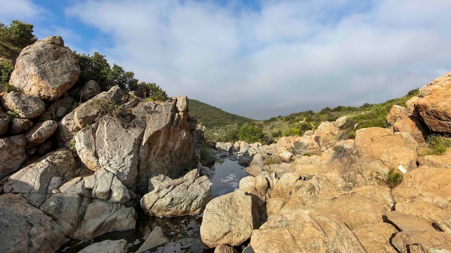 Los Peñasquitos Canyon hiking trail in San Diego
