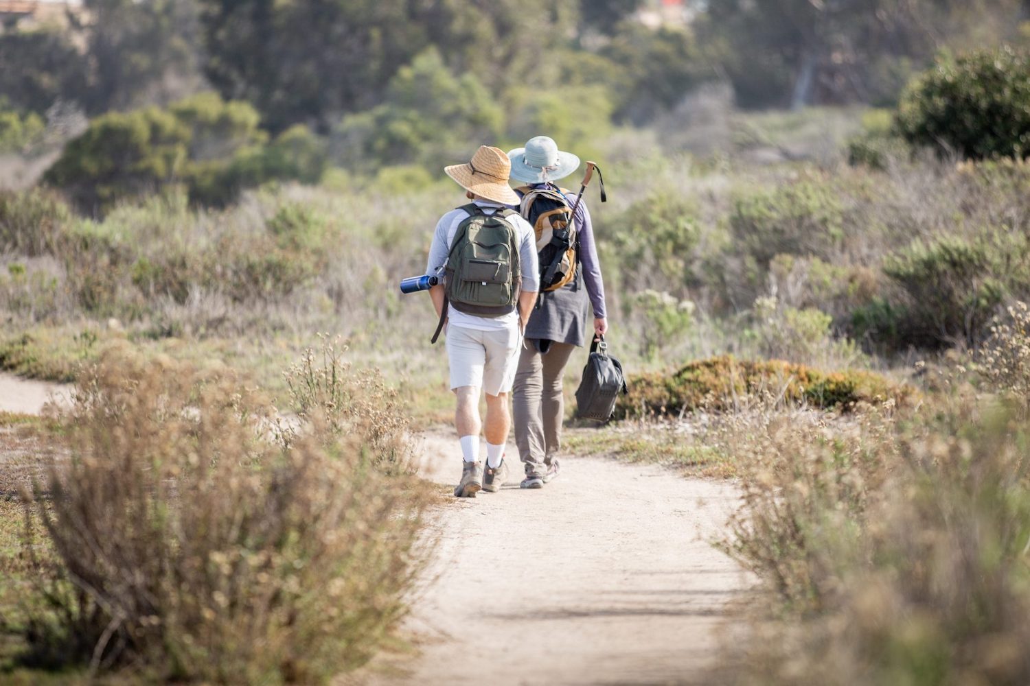 San Elijo Lagoon preserve and hiking trails in San Diego