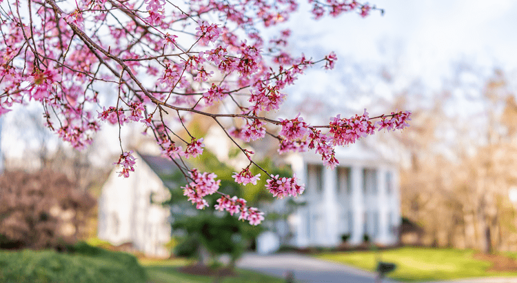 4 Ways To Make an Offer That Stands Out This Spring,KCM Crew