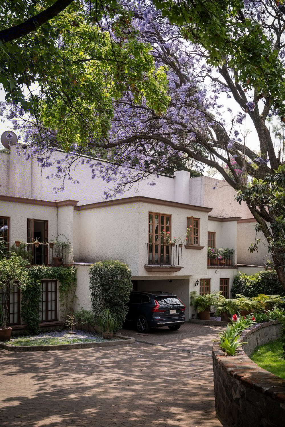 This Mexico City Dream Home Started with a Home Swap