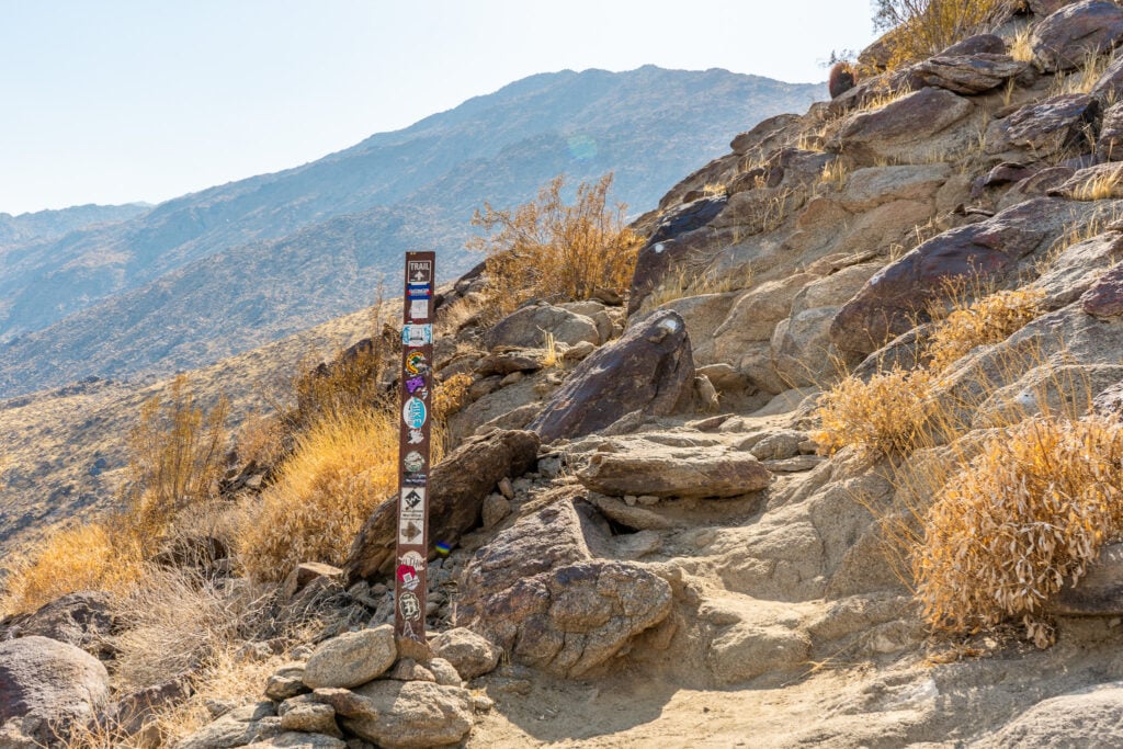 5 Summer Hikes in San Diego with Coastal Views