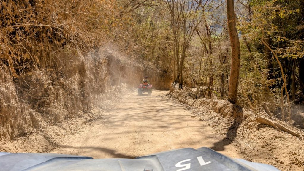 From Sea to Sky: Puerto Vallarta Adventure Guide