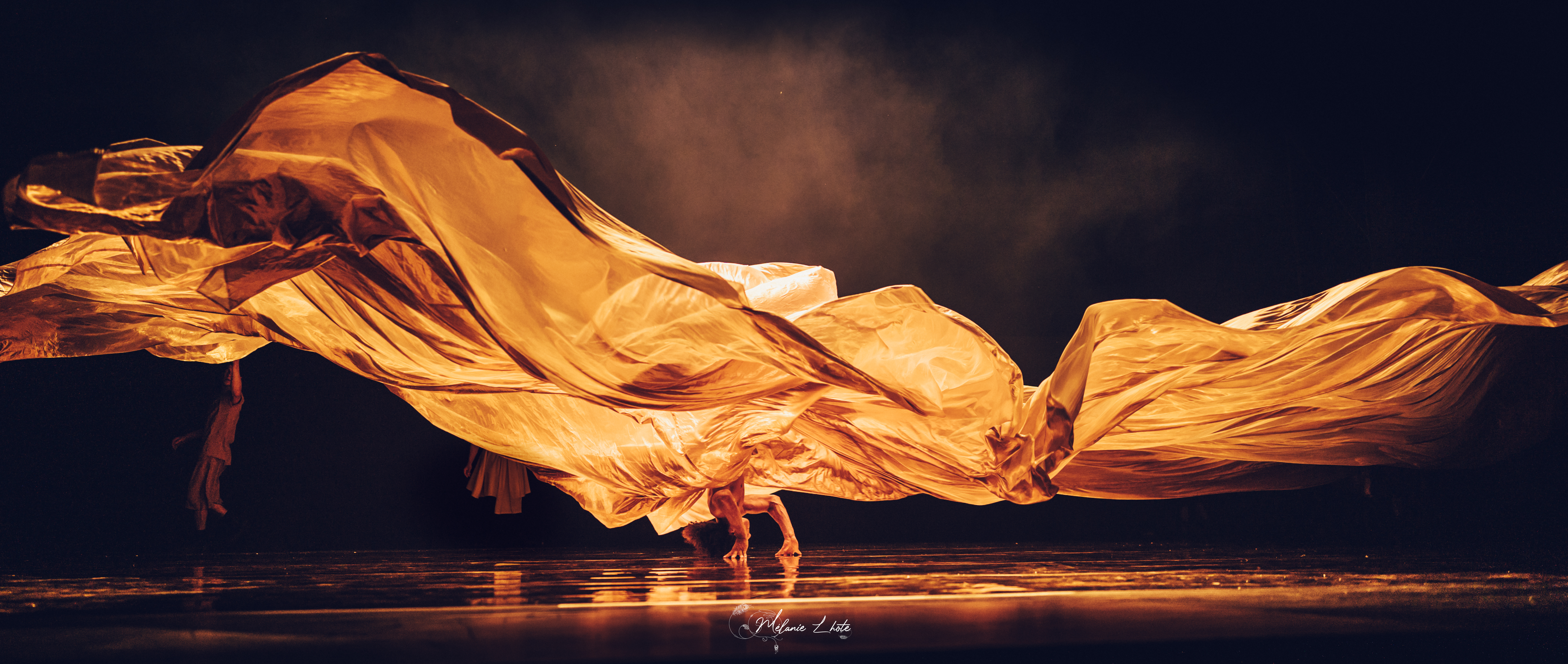 An onstage performance by dance group Compagnie Hervé Koubi