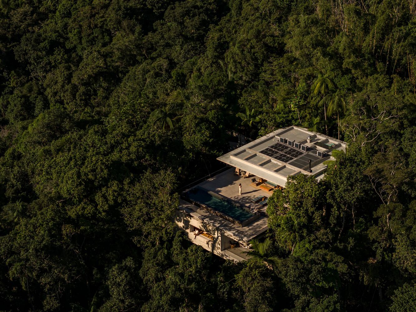 Studio mk27 house design canopy into the jungle