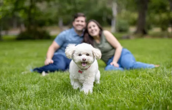 Meet Animal Advocate & Instagram’s Viral Kitten Lady